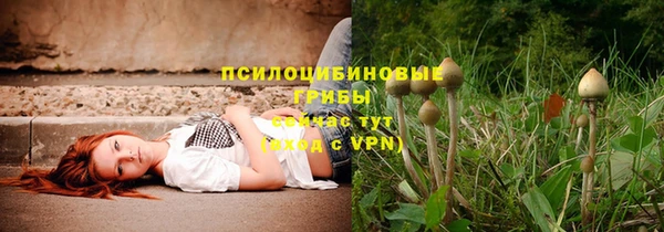 каннабис Абаза