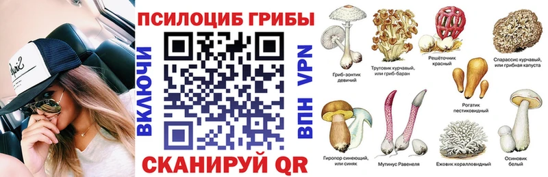 Псилоцибиновые грибы мицелий купить Тетюши